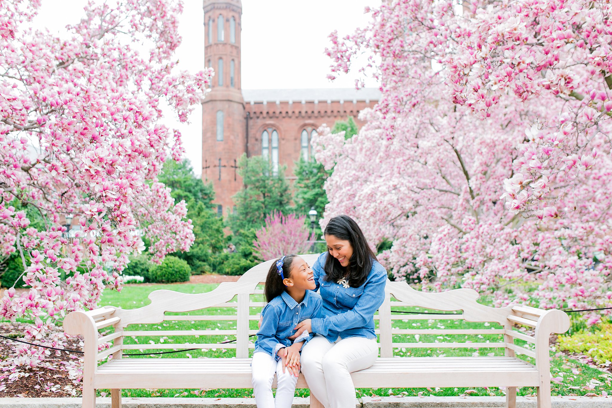 Cherry Blossom Family Portraits DC Photography-6102.jpg
