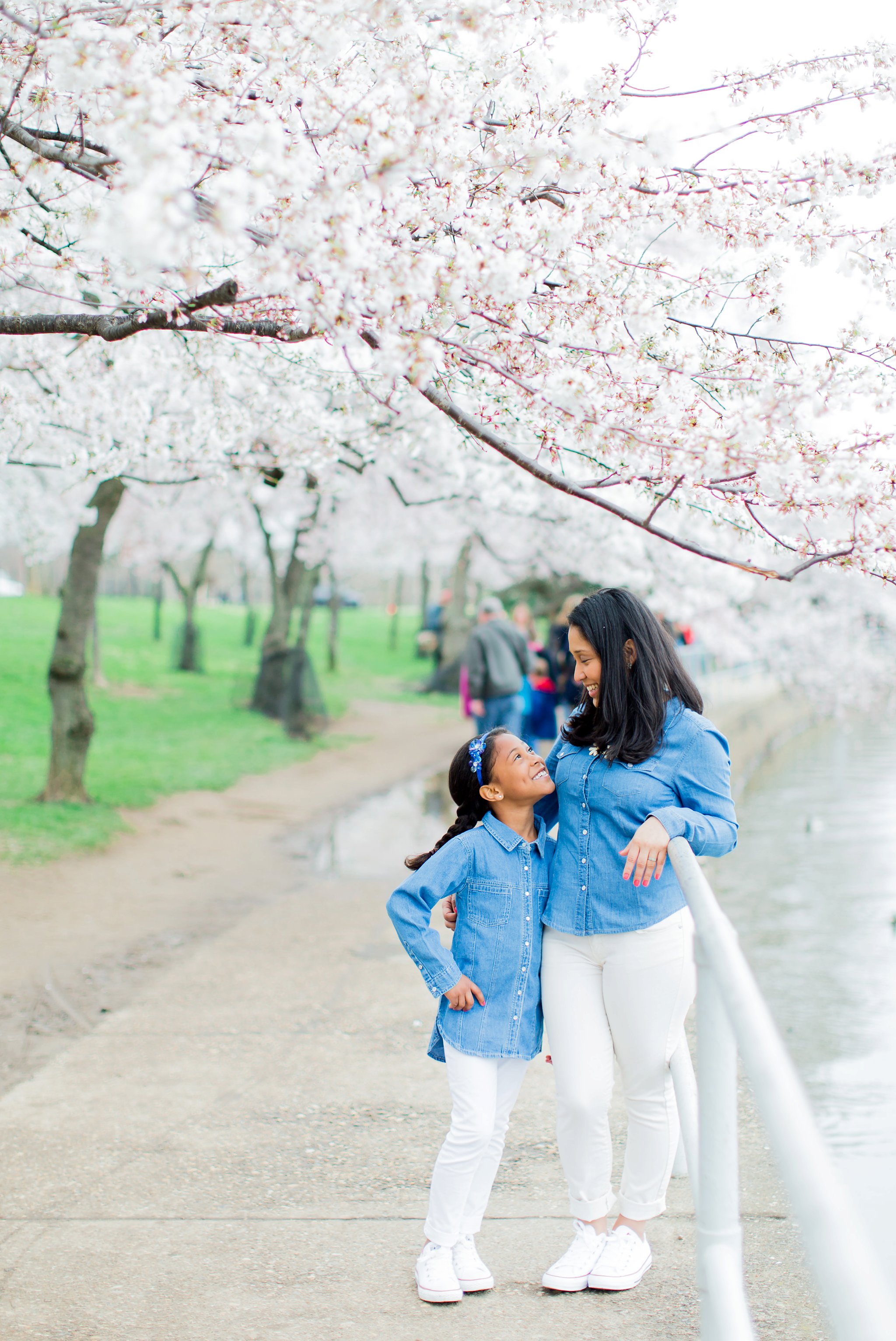 Cherry Blossom Family Portraits DC Photography-6310.jpg