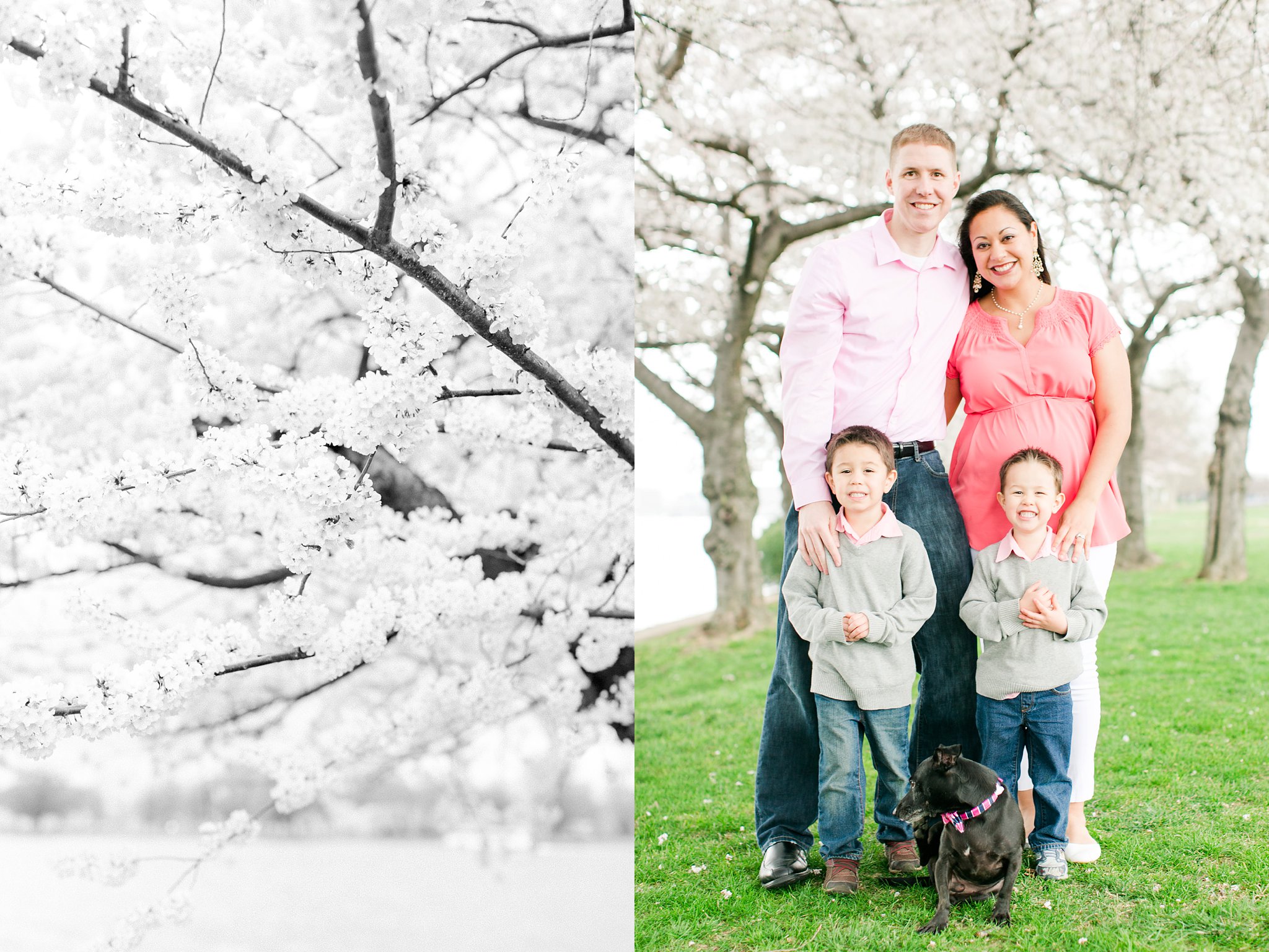 Washington DC Family Photographer Cherry Blossom Portraits Clark Family Megan Kelsey Photography-29.jpg
