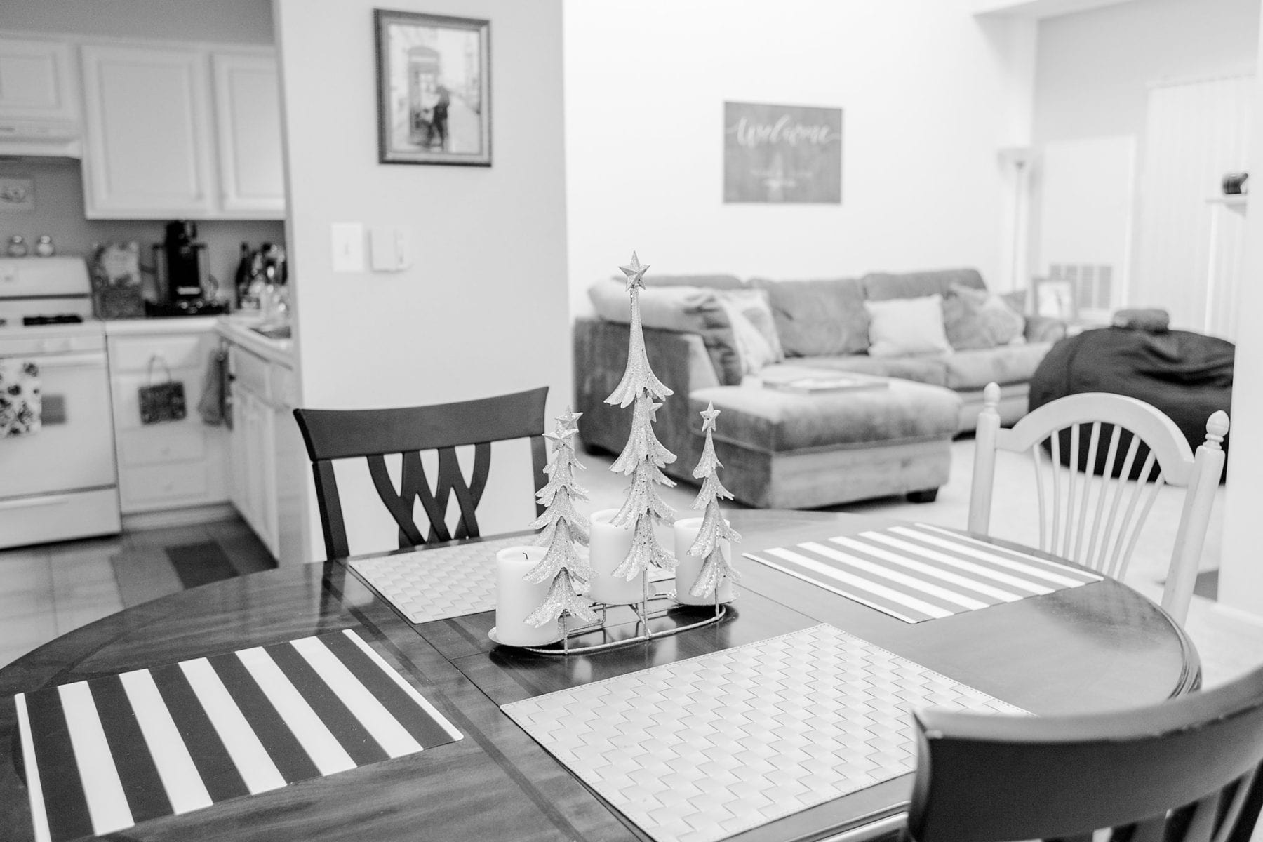 Our First Apartment Simple Newlywed Home Style Justin & Megan Kelsey Photography-8