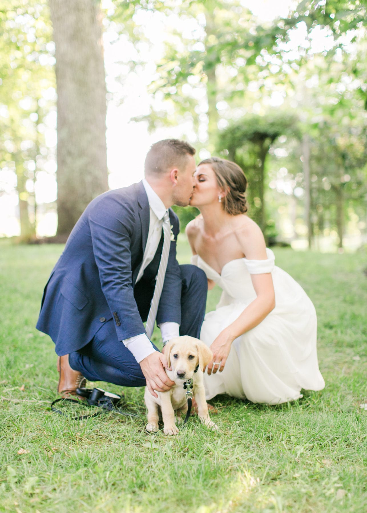 24 Must have wedding photos for the big day dog at wedding