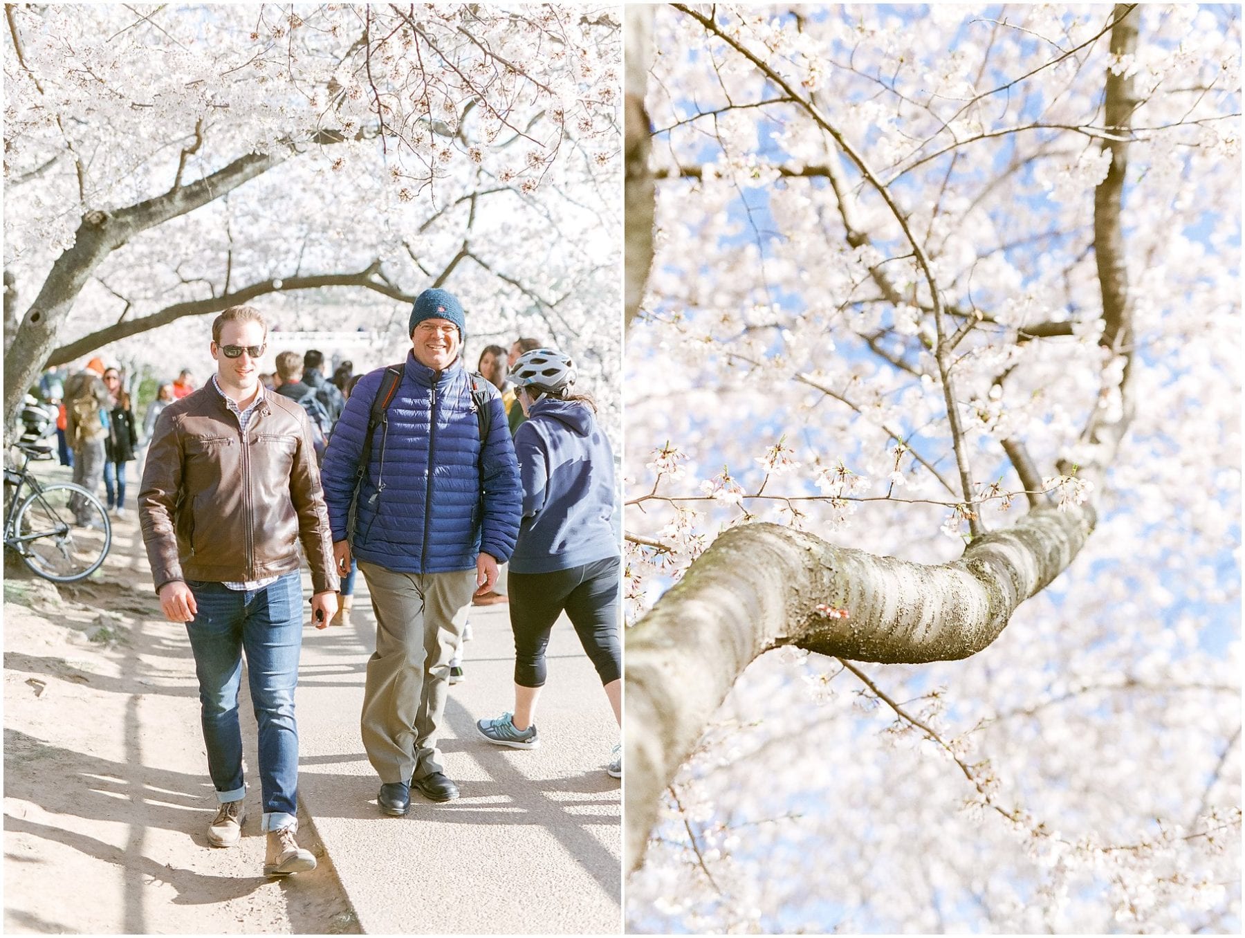 Cherry Blossom Festival on Film April 2019 Megan Kelsey Photography-38.jpg